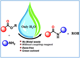 Graphical abstract: A sustainable metal and base-free direct amidation of esters using water as a green solvent