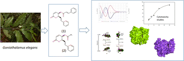 Graphical abstract: Isolation, structural elucidation, and cytotoxic activity investigation of novel styryl-lactone derivatives from Goniothalamus elegans: in vitro and in silico studies