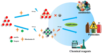 Graphical abstract: Fluorescence detection of three types of pollutants based on fluorescence resonance energy transfer and its comparison with colorimetric detection