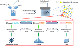 Graphical abstract: Hydrophilic ionic liquid assisted hydrothermal synthesis of ZnO nanostructures with controllable morphology