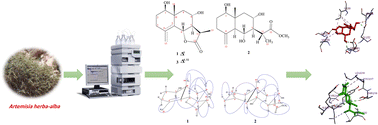 Graphical abstract: Artemisia herba-alba sesquiterpenes: in silico inhibition in the ATP-binding pocket