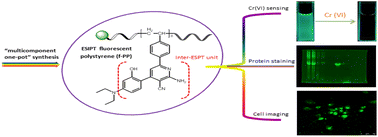 Graphical abstract: A polystyrene-based ESIPT fluorescent polymeric probe for highly sensitive detection of chromium(vi) ions and protein staining