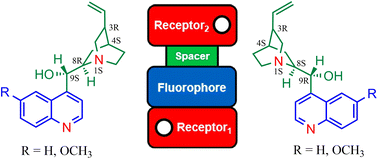 Graphical abstract: Cinchona alkaloids – acid, anion-driven fluorescent INHIBIT logic gates with a receptor1–fluorophore–spacer–receptor2 format and PET and ICT mechanisms