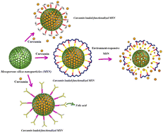 Graphical abstract: Curcumin-loaded mesoporous silica nanoparticles for drug delivery: synthesis, biological assays and therapeutic potential – a review
