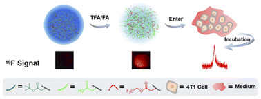 Graphical abstract: Fluorinated hydrogel nanoparticles with regulable fluorine contents and T2 relaxation times as 19F MRI contrast agents