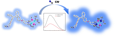 Graphical abstract: Efficient fluorescence-enhanced probe for cyanide ions based on a tetraphenylethene pyridine coordinated copper-iodide complex