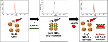 Graphical abstract: Aqueous synthesis of red fluorescent l-cysteine functionalized Cu2S quantum dots with potential application as an As(iii) aptasensor