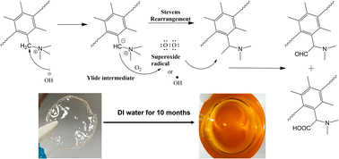 Graphical abstract: Degradation of QPPO-based anion polymer electrolyte membrane at neutral pH