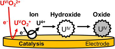 Graphical abstract: Uranium hydroxide/oxide deposits on uranyl reduction