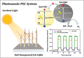 Graphical abstract: S,N-GQD sensitization effect on the improvement of ZnO nanopencil photoelectrochemical properties