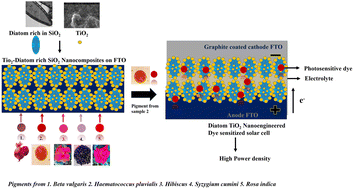 Graphical abstract: Nanoengineering TiO2 for evaluating performance in dye sensitized solar cells with natural dyes