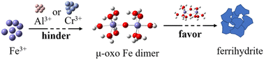 Graphical abstract: Atomic insights into the mechanisms of Al3+ or Cr3+ affecting ferrihydrite nucleation