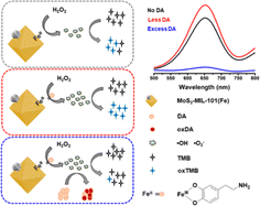 Graphical abstract: Balancing “on” and “off” response of hydroxyl groups to a nanozyme-catalyzing system for the construction of an ultra-sensitive and selective “signal-on” detection platform for dopamine