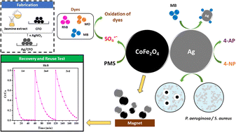 Graphical abstract: Silver decorated on cobalt ferrite nanoparticles as a reusable multifunctional catalyst for water treatment applications in non-radiation conditions