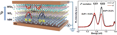 Graphical abstract: Twist-angle-dependent momentum-space direct and indirect interlayer excitons in WSe2/WS2 heterostructure