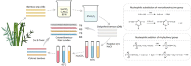 Graphical abstract: Effect of M-type reactive dyes on dyeing properties of twisted bamboo fiber bundles