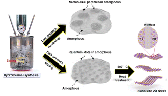 Graphical abstract: Massively synthesizable nickel-doped 1T-MoS2 nanosheet catalyst as an efficient tri-functional catalyst