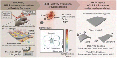 Graphical abstract: Flexible, stretchable, and single-molecule-sensitive SERS-active sensor for wearable biosensing applications