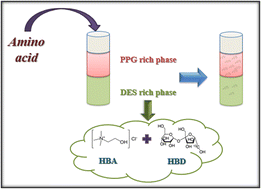 Graphical abstract: Extraction of some essential amino acids using aqueous two-phase systems made by sugar-based deep eutectic solvents