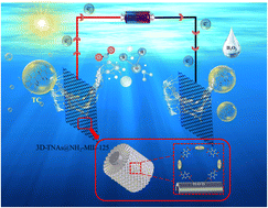 Graphical abstract: Growth of 3D-TNAs@Ti-MOFs by dual titanium source strategy with enhanced photoelectrocatalytic/photoelectro-Fenton performance for degradation of tetracycline under visible light irradiation