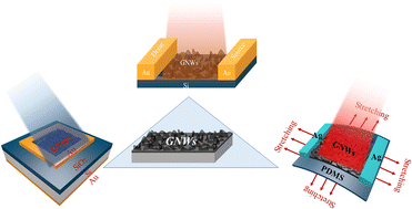 Graphical abstract: Graphene nanowalls in photodetectors