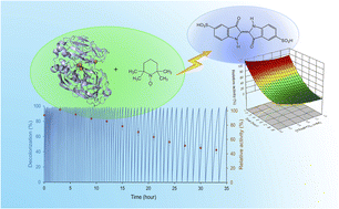 Graphical abstract: Eco-friendly TEMPO/laccase/O2 biocatalytic system for degradation of Indigo Carmine: operative conditions and laccase inactivation