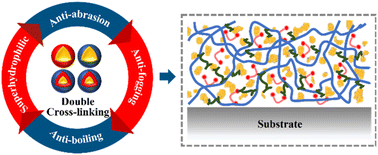 Graphical abstract: Double cross-linked transparent superhydrophilic coating capable of anti-fogging even after abrasion and boiling