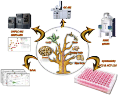 Graphical abstract: Comparison of Balanites aegyptiaca parts: metabolome providing insights into plant health benefits and valorization purposes as analyzed using multiplex GC-MS, LC-MS, NMR-based metabolomics, and molecular networking