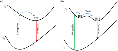 Graphical abstract: The investigation of the ultrafast excited state deactivation mechanisms for coumarin 307 in different solvents