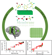 Graphical abstract: Predicting rejection of emerging contaminants through RO membrane filtration based on ANN-QSAR modeling approach: trends in molecular descriptors and structures towards rejections