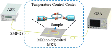 Graphical abstract: MXene V2C-coated runway-type microfiber knot resonator for an all-optical temperature sensor