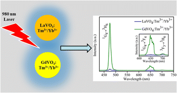 Graphical abstract: Comparative studies of upconversion luminescence and optical temperature sensing in Tm3+/Yb3+ codoped LaVO4 and GdVO4 phosphors