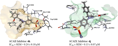 Graphical abstract: Synthesis, characterization and biological evaluation of pyrazole-based benzene sulfonamides as inhibitors of human carbonic anhydrase II, IX and XII