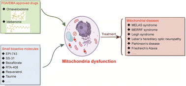 Graphical abstract: Recent advances in small molecules for improving mitochondrial disorders