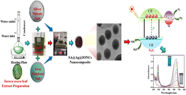 Graphical abstract: Structural and optical properties of silver supported α-Fe2O3 nanocomposite fabricated by Saraca asoca leaf extract for the effective photo-degradation of cationic dye Azure B