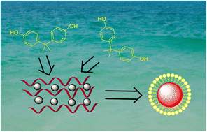 Graphical abstract: Thermal and bisphenol-A adsorption properties of a zinc ferrite/β-cyclodextrin polymer nanocomposite