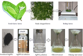 Graphical abstract: Psidium guajava leaf extract mediated green synthesis of silver nanoparticles and its application in antibacterial coatings