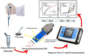 Graphical abstract: Selective determination of nitrite in water and food samples using zirconium oxide (ZrO2)@MWCNTs modified screen printed electrode