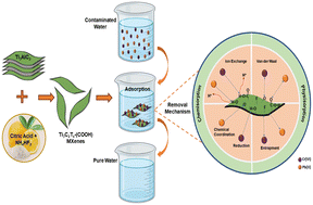 Graphical abstract: Enhanced removal of toxic Cr(vi) and Pb(ii) from water using carboxylic terminated Ti3C2Tx nanosheets