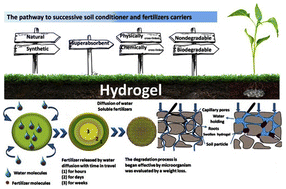 Graphical abstract: Significance of biopolymer-based hydrogels and their applications in agriculture: a review in perspective of synthesis and their degree of swelling for water holding