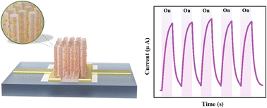 Graphical abstract: Developing low-cost nanohybrids of ZnO nanorods and multi-shaped silver nanoparticles for broadband photodetectors