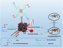 Graphical abstract: Near-infrared active ferrocenyl porous organic polymer with photothermal enhanced enzymatic activity for combination antibacterial application