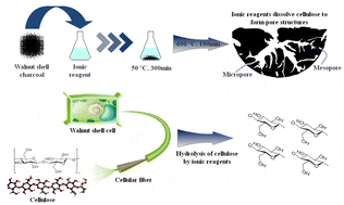 Graphical abstract: High-performance sorbents from ionic liquid activated walnut shell carbon: an investigation of adsorption and regeneration