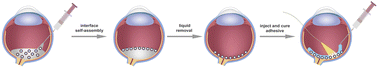 Graphical abstract: Colloidal self-assembly of soft neural interfaces from injectable photovoltaic microdevices