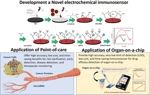 Graphical abstract: A novel label-free electrochemical immunosensor for the detection of heat shock protein 70 of lung adenocarcinoma cell line following paclitaxel treatment using l-cysteine-functionalized Au@MnO2/MoO3 nanocomposites