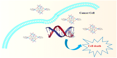Graphical abstract: A novel tetranuclear Cu(ii) complex for DNA-binding and in vitro anticancer activity