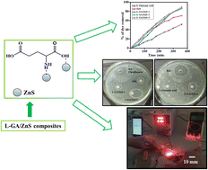 Graphical abstract: Easy fabrication of l-glutamic acid/ZnS composites for efficient photo-catalytic and supercapacitor performance