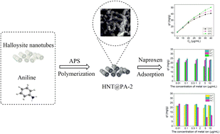 Graphical abstract: Polyaniline-modified halloysite nanotubes as high-efficiency adsorbents for removing of naproxen in the presence of different heavy metals