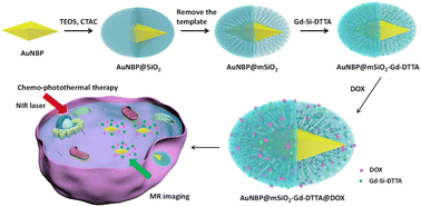 Graphical abstract: Preparation of Gd-doped AuNBP@mSiO2 nanocomposites for the MR imaging, drug delivery and chemo-photothermal synergistic killing of breast cancer cells