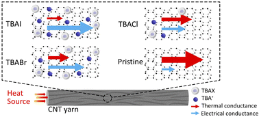 Graphical abstract: Influence of halogen elements in organic salts on n-type doping of CNT yarn for thermoelectric applications